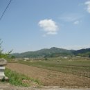 세중초등학교 이미지