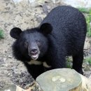 이승민농장 이미지