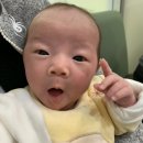 가주치과의원 | 신생아 설소대 수술후기 및 아기보험 (D+28)