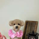 싹독싹독 이미지