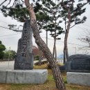 월계천2 이미지