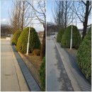 선영스틸 이미지