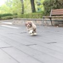 디자인독 이미지