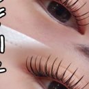 하울라스틱