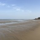 스테이 옥도 이미지