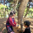 푸르지오숲어린이집
