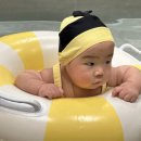 아이랑 물놀이 할 수 있는 아산 수영장 풀리풀리 내돈내산 후기