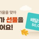 걷기 앱테크 비교 사용후기(캐시워크 vs 야핏무브)