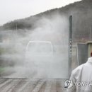 김용태농장 이미지