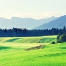 안성파트너공인중개사사무소 이미지