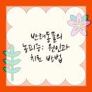 송파바로동물병원 이미지