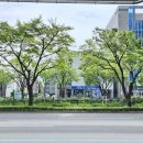 황금도원한의원 이미지