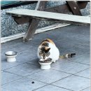 전라도 여수식당 이미지