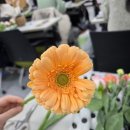 수성구보건소 별관 이미지
