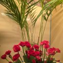 양덕동189 | 편안한 시간, 포항마사지 웰빙케어 전신관리 후기