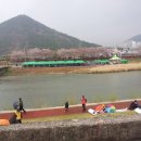 제2회 삼산동 용당 뚝방길 벚꽃 축제 풍경 이미지
