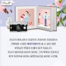 한국체대우리태권도 이미지