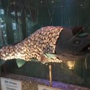 코뿔소 음식점 이미지