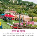 영종도·용유도 Daum카페