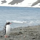 남극의 베스트 포토그래퍼📸 이미지