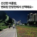 야트 7월30일 수요일 1/2호선 신도림 역 1번 출구 밖 오후 18시30분 안양천 평지 길 걷기 이미지