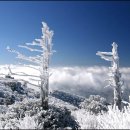 눈과 함께 이미지