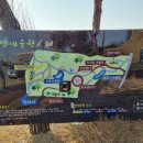 박안건 묘소 이미지