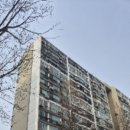 강남-185 이미지