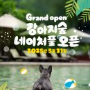 동면 생태친구들 | “수영할 멍?!🐶💦” 강아지숲 &#39;네이처풀&#39; 조기 개장! 댕댕이들의 여름 워터파크 완전 정복!