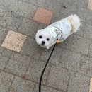 모당공원 화장실 이미지