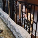 양서·파충류생태공원 2층 이미지