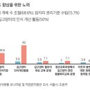 동네고양이 이미지