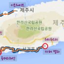 위미위드미게스트하우스 이미지