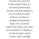 포포나무 효능 이미지