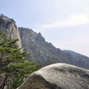 오봉산식당 Daum카페