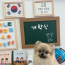 까까멍멍 이미지