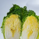 유한회사더블에스 이미지