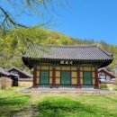 함평 향교 느티나무,팽나무,개서어나무 숲 이미지