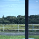 팜팜스테이 이미지