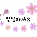 손*룡 이미지