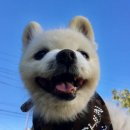 무지개다리 이미지