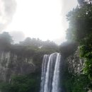 연세선린내과의원 이미지