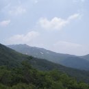 예술공원 둘레길 이미지