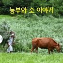 소 이야기 Daum카페