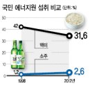 술심