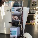 청담동물병원애견미용실 이미지