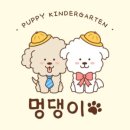 멍댕이 애견유치원 이미지