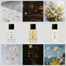 고향슈퍼 | 레 조 프리모디알 팝업 방문 및 향수 3종 후기: 꿀뢰르 프리미어, 매카니크 앵튜티브, 미모사 슈퍼크리티크