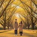 섬진강기차마을 구역사 외부 | 곡성 섬진강 기차마을 단풍, 노란 은행나무길 동화 속 풍경