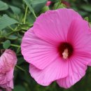 부용쉼터 이미지